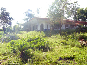 This once-handsome home remains on the quinta. 